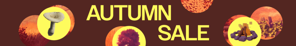 unity assetstore autumn sale